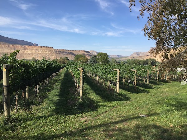 Bookcliff Vineyards - Palisade Tasting Room 1