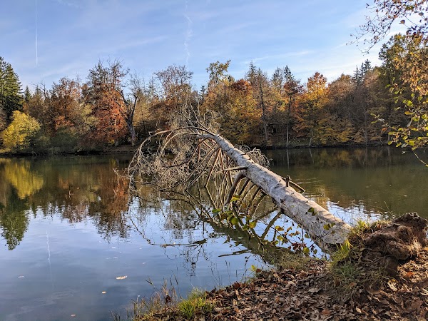 Bärensee 5