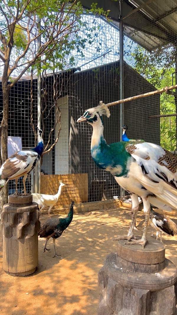 Uncle Pong Mini Zoo and Cafe - สวนลุงพงศ์มินิซูแอนด์คาเฟ่ 1