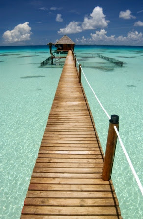 HAVAIKI LODGE