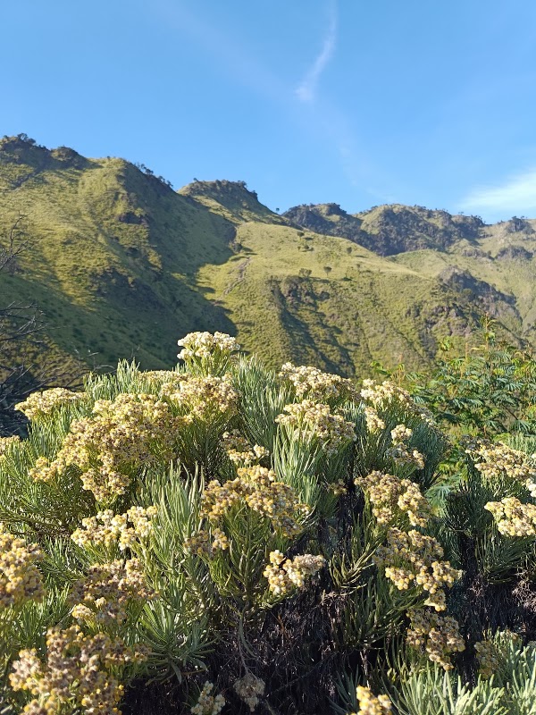 Mount Merbabu 3