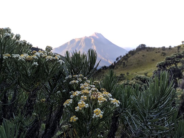Mount Merbabu 2