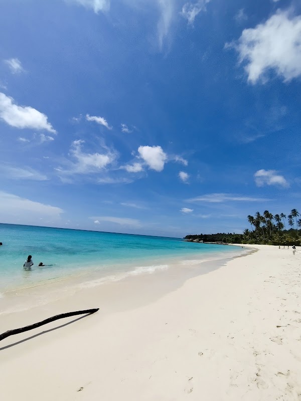 Mandel Beach 3