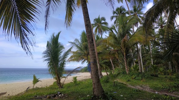 Mandel Beach 2