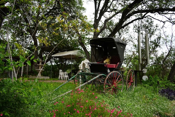 Victoria's Black Swan Inn 4