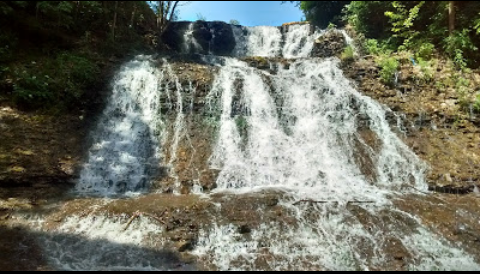 Bella Vista 1