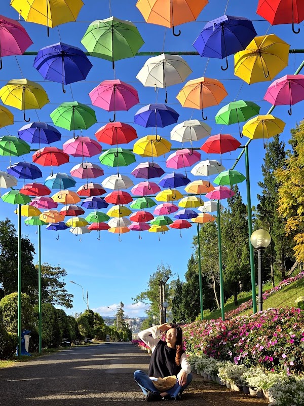 Dalat City Flower Garden 5