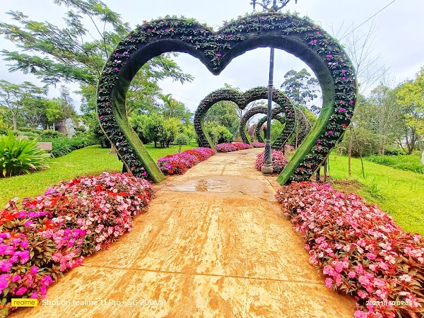 Dalat City Flower Garden 4