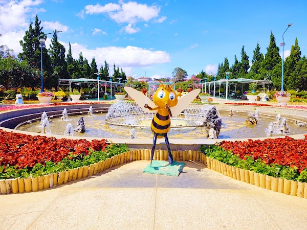 Dalat City Flower Garden 3