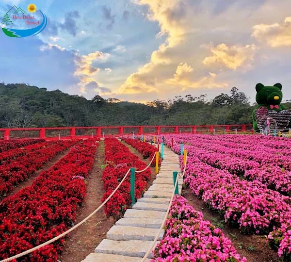 Dalat City Flower Garden 2