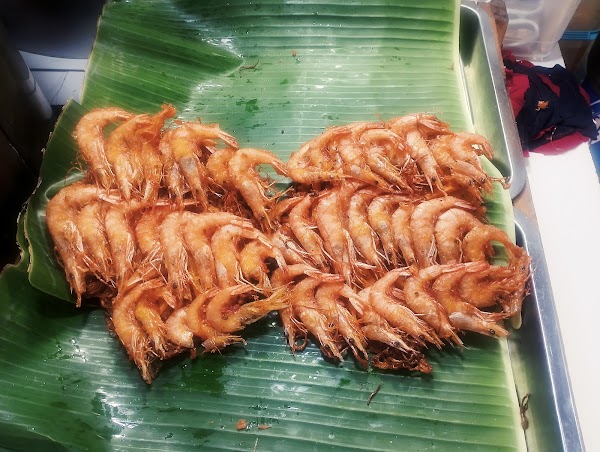 TONY'S OKOY