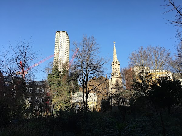 The Phoenix Garden