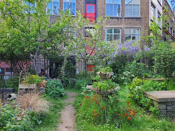 The Phoenix Garden 2