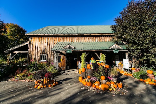 Beans & Greens Farm