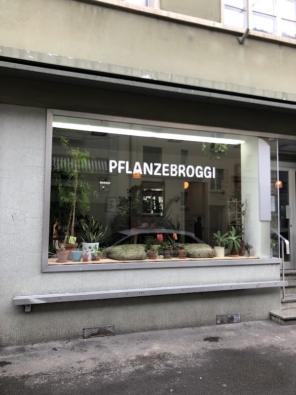 pflanzebroggi basel 1