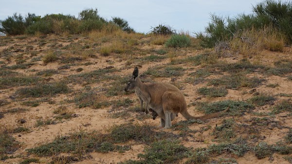 Cape Range National Park 5