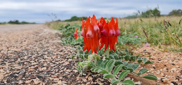 Cape Range National Park 2