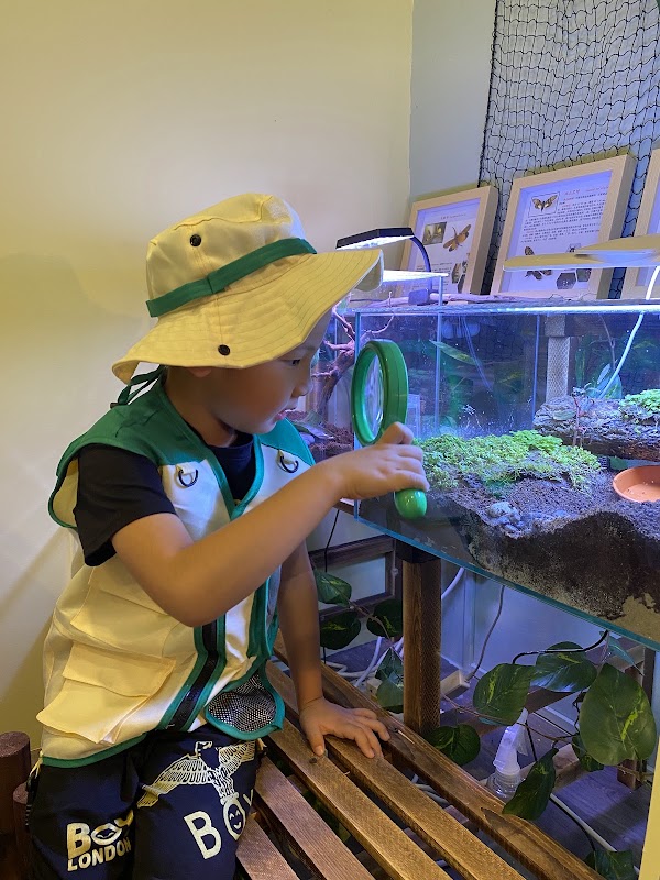 Nature kindred - Kids Fishing, Planting & Craft Activities 3