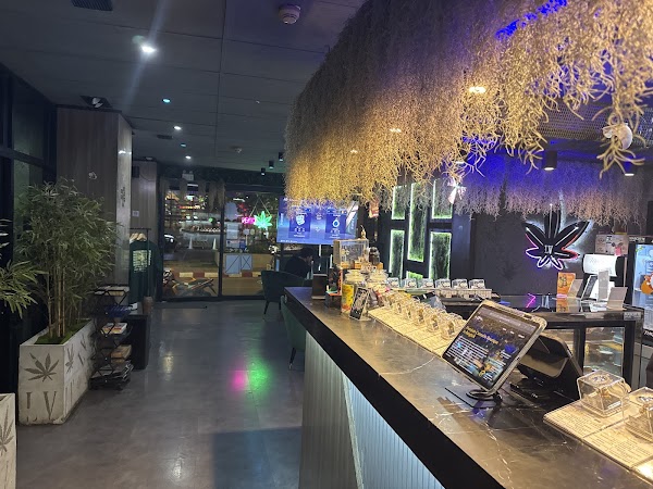 LV Cannabis Boutique BKK 5