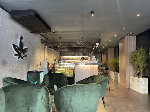 LV Cannabis Boutique BKK 3