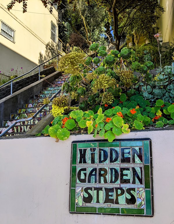 Hidden Garden Steps 5