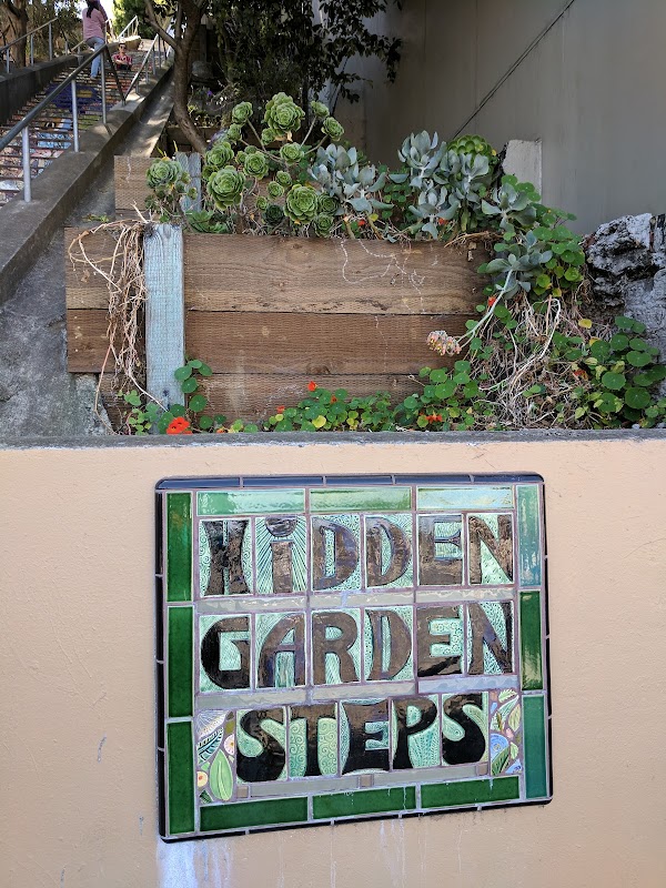 Hidden Garden Steps 3