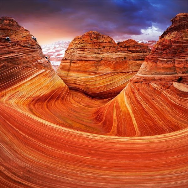 The Wave