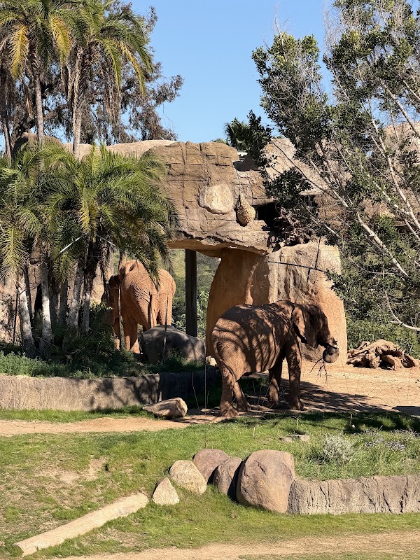 Elephant Valley