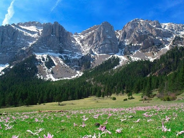 Parc Natural del Cadí-Moixeró