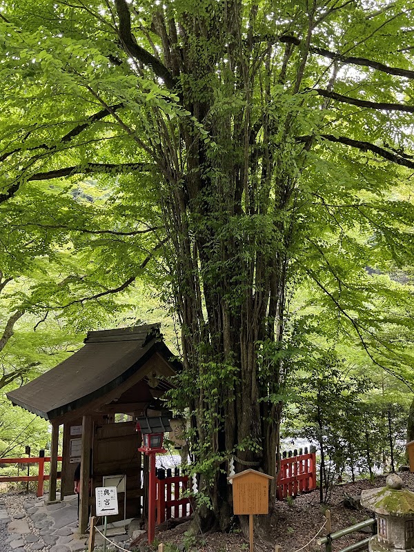 Kifune 5