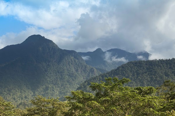 Parque Nacional Pico Bonito 1