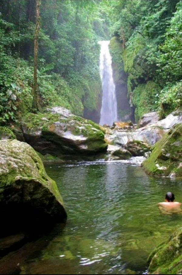 Parque Nacional Pico Bonito 5