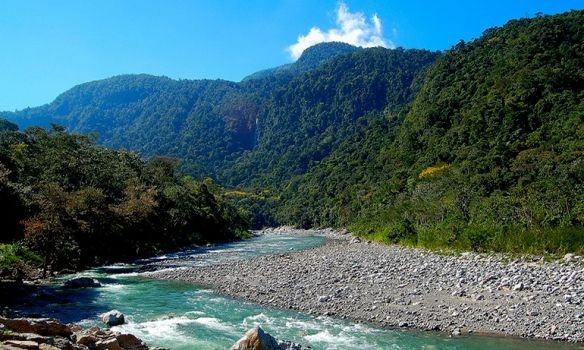 Parque Nacional Pico Bonito 4