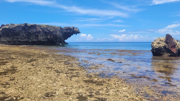 Stimpy’s Surf Spot 1
