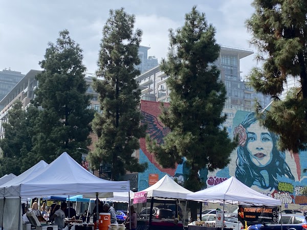 Social District Farmers' Market 4