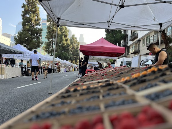 Social District Farmers' Market 2