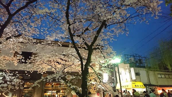 Gion 5
