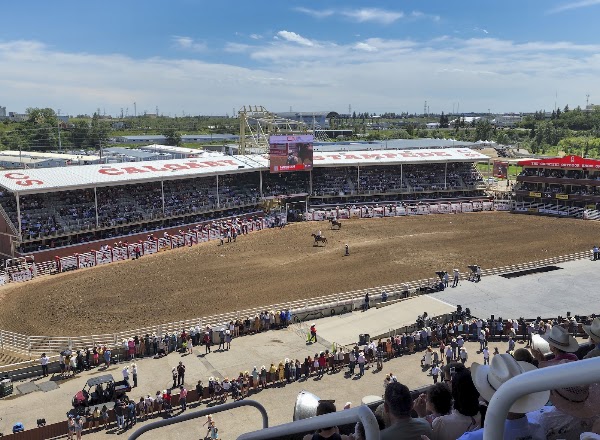 Calgary Stampede 4
