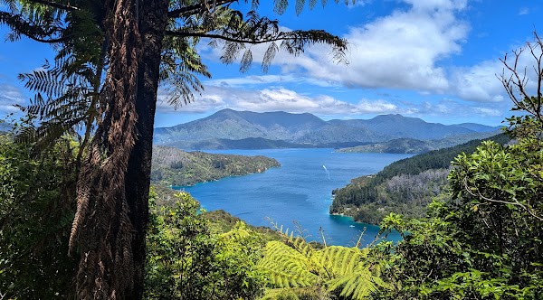Queen Charlotte Track 1