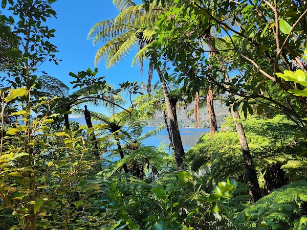 Queen Charlotte Track 4