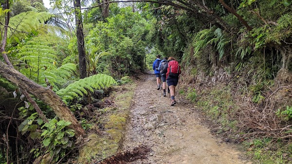 Queen Charlotte Track 3