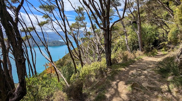 Queen Charlotte Track 2