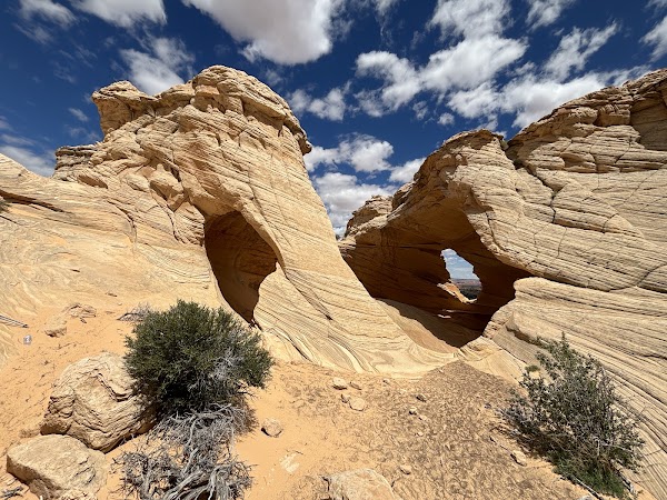 Melody Arch 1