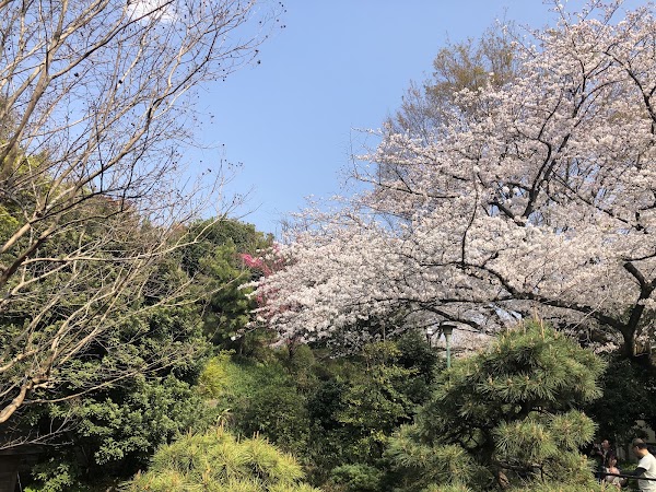 Saigōyama Park 5