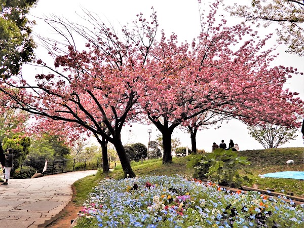 Saigōyama Park 4
