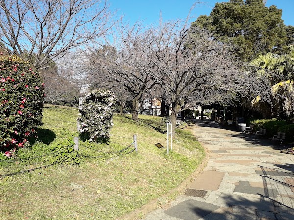 Saigōyama Park 3