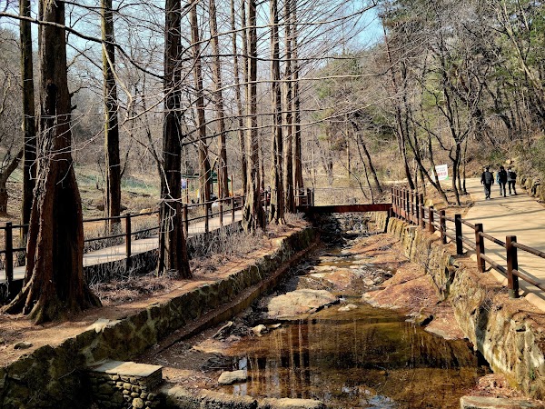 Cheonggyesan Mountain Wonteogol Entrance 2