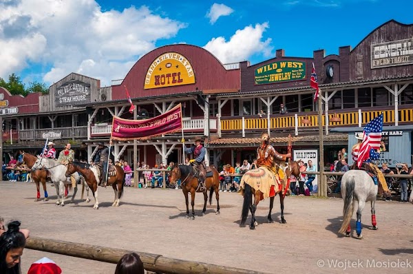 Pullman City Harz