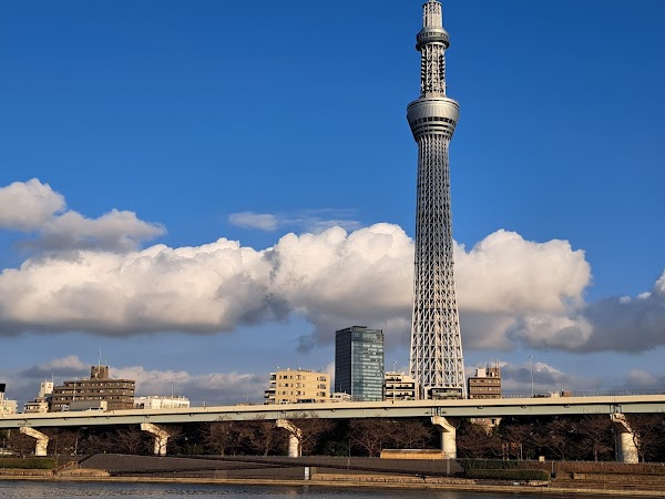 Sumida Park 5