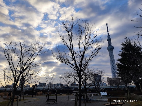 Sumida Park 2